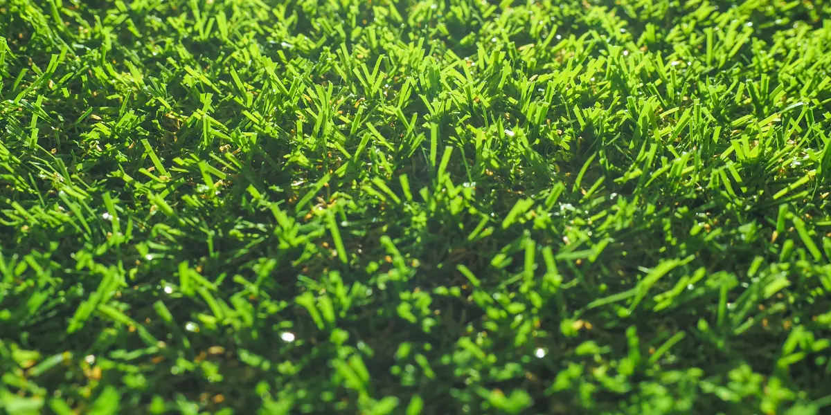 Pasto Sintético Vivo 30mm - Vista 1