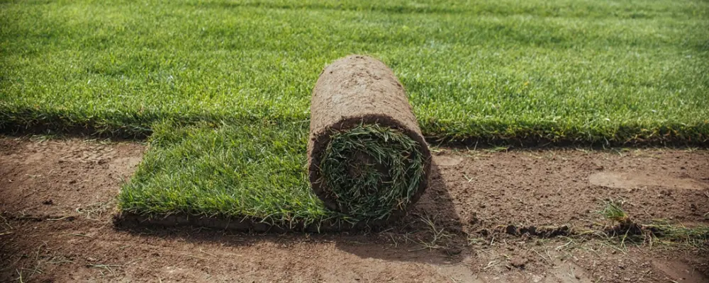 Rollos de pasto alfombra natural apilados y listos para despacho