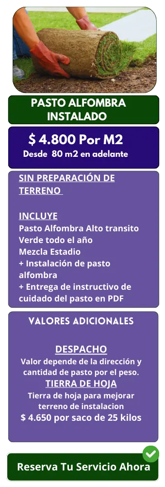 Servicio de Pasto mas instalación 